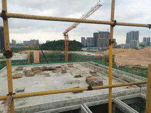 新客厅，新生活 鹤山城市建设工程施工引领未来社区新风尚